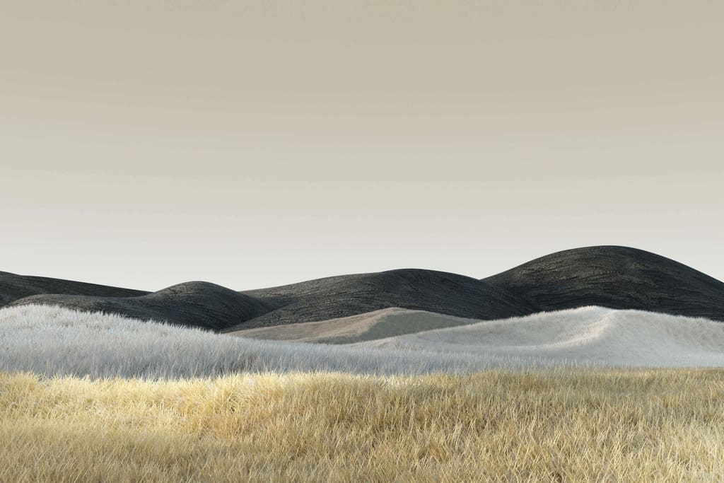 A contemplative coastal landscape near Cape Town
